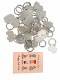 Lab Week Microscope Van Keychain – Medical Laboratory Appreciation Gift